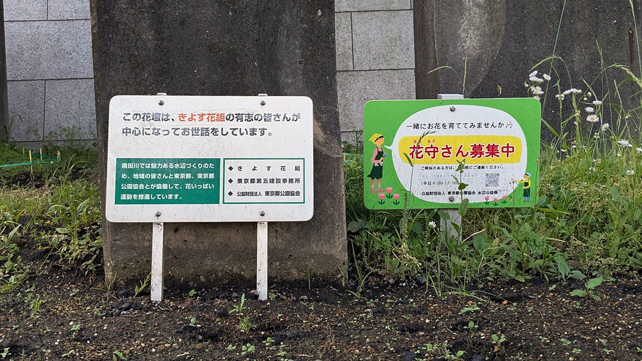 【終了】令和７年5月25日（日）午前１０時より、きよす花組が清洲橋江東区側下の花壇合同植栽会を開催します